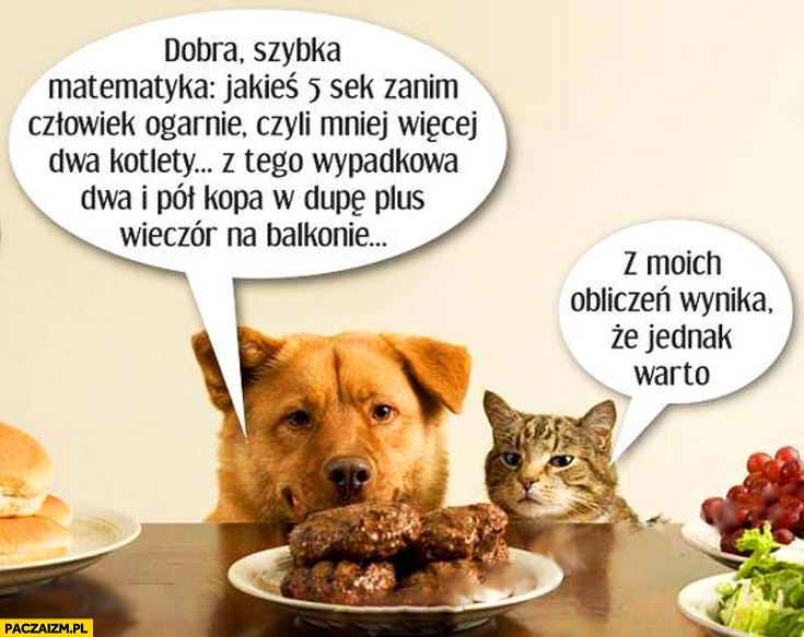 Pies i kot kradną mięso ze stołu, szybka matematyka z moich obliczeń wynika ze jednak warto