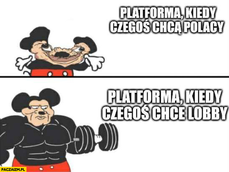 Platforma kiedy czegoś chcą Polacy vs Platforma kiedy czegoś chce lobby
