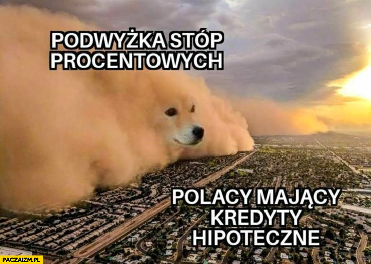 Podwyżka stóp procentowych Polacy mający kredyty hipoteczne burza piaskowa pies piesek