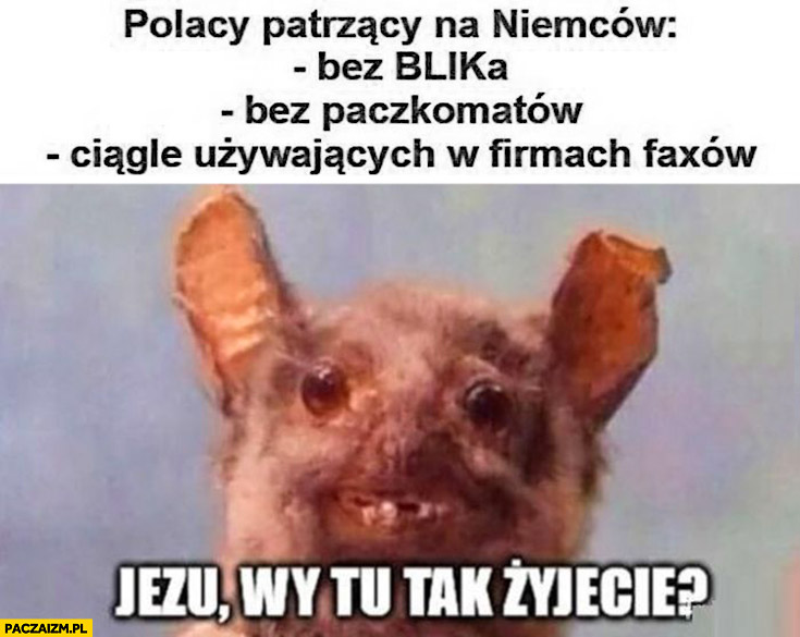 Polacy patrzący na Niemców bez blika, paczkomatów, używających faxów. Jezu wy tu tak żyjecie