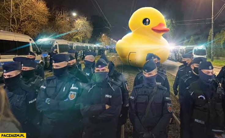Policja chroni kaczuszkę Kaczyński w środku przeróbka