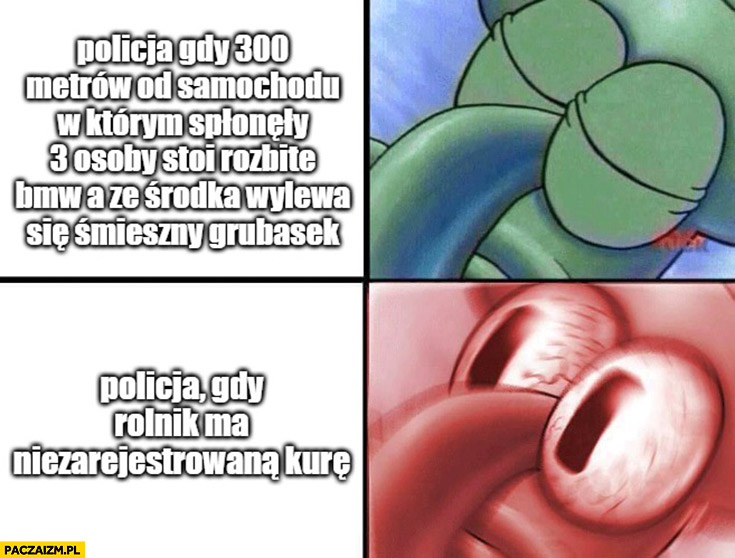 Policja gdy 300 metrów od samochodu w którym splunęły 3 osoby stoi rozbite BMW vs policja gdy rolnik ma niezarejestrowana kurę