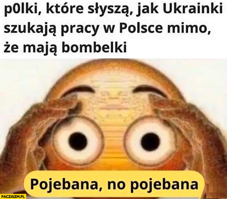 Polki kiedy usłyszą jak Ukrainki szukają pracy w Polsce mimo, że mają bombelki powalona no powalona