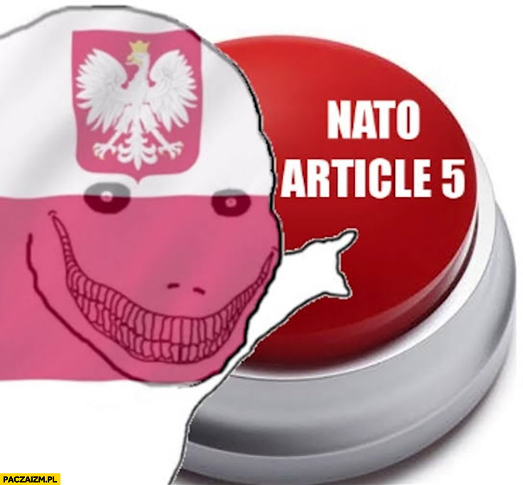 Polska NATO artykuł 5 naciska przycisk