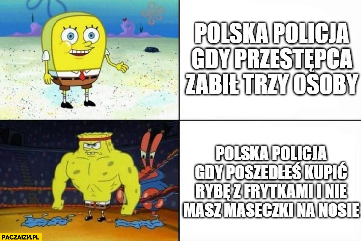 Polska policja gdy przestępca zabił trzy osoby vs gdy poszedłeś kupić rybę z frytkami i nie masz maseczki na nosie Spongebob