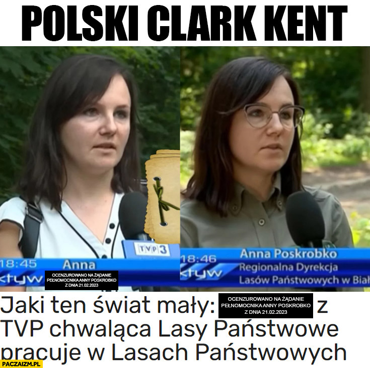 Polski Clark Kent Anna chwaląca lasy państwowe w okularach pracuje w lasach państwowych