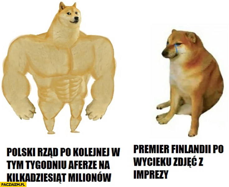 Polski rząd po kolejnej w tym tygodniu aferze na kilkadziesiąt milionów vs premier Finlandii po wycieku zdjęć z imprezy pies pieseł doge cheems