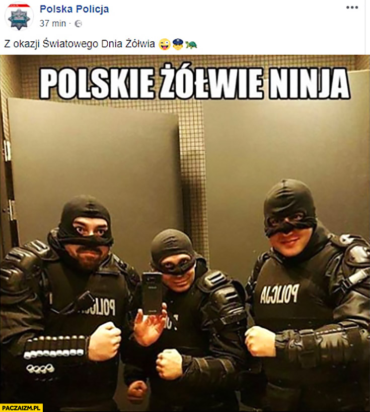 Polskie żółwie ninja policja policjanci na facebooku z okazji światowego dnia żółwia