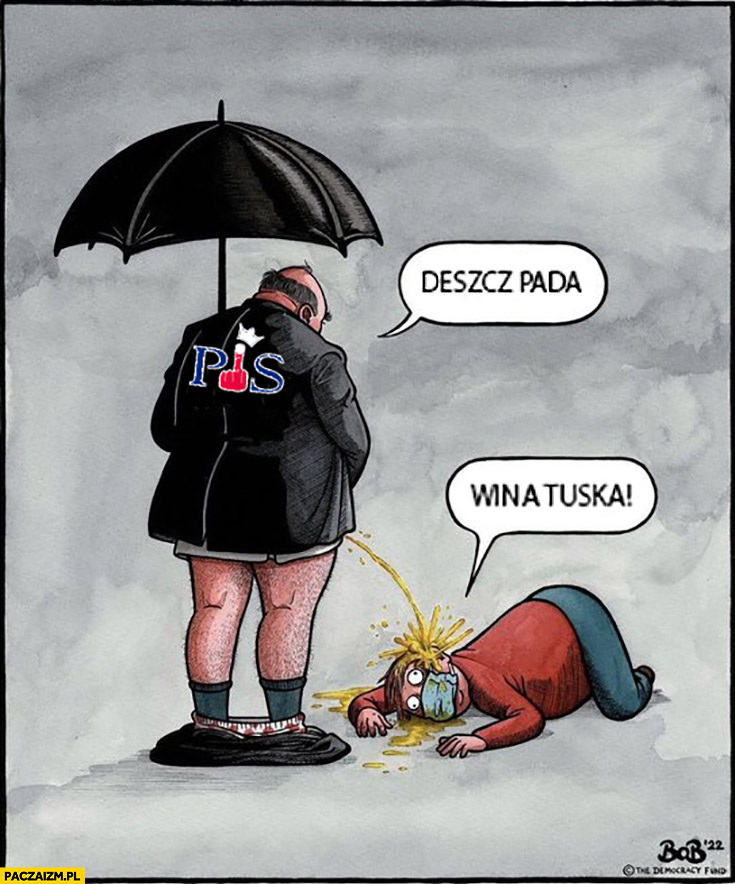 Poseł PiS sika mówi, że deszcz pada wyborca elektorat to wina Tuska
