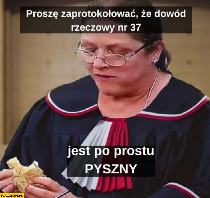 Posłanka Pawłowicz sędzia proszę zaprotokołować, że dowód rzeczowy nr 37 jest po prostu pyszny kanapka je kanapkę