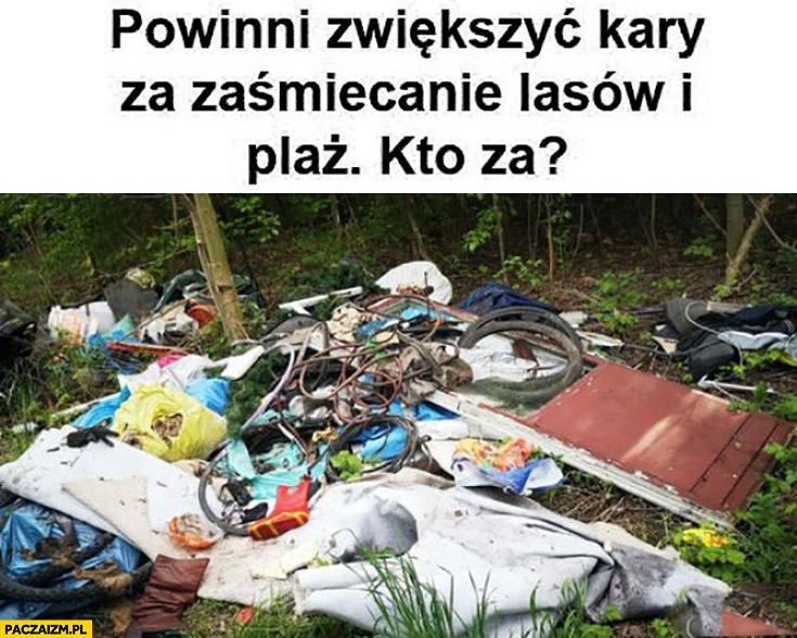 Powinni zwiększyć kary za zaśmiecanie lasów i plaż, kto za?