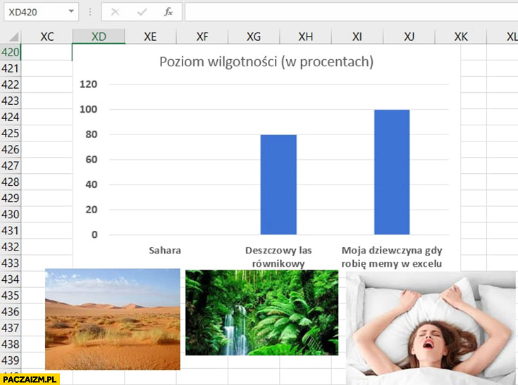 Poziom wilgotności moja dziewczyna gdy robię memy w Excelu, deszczowy las równikowy, Sahara