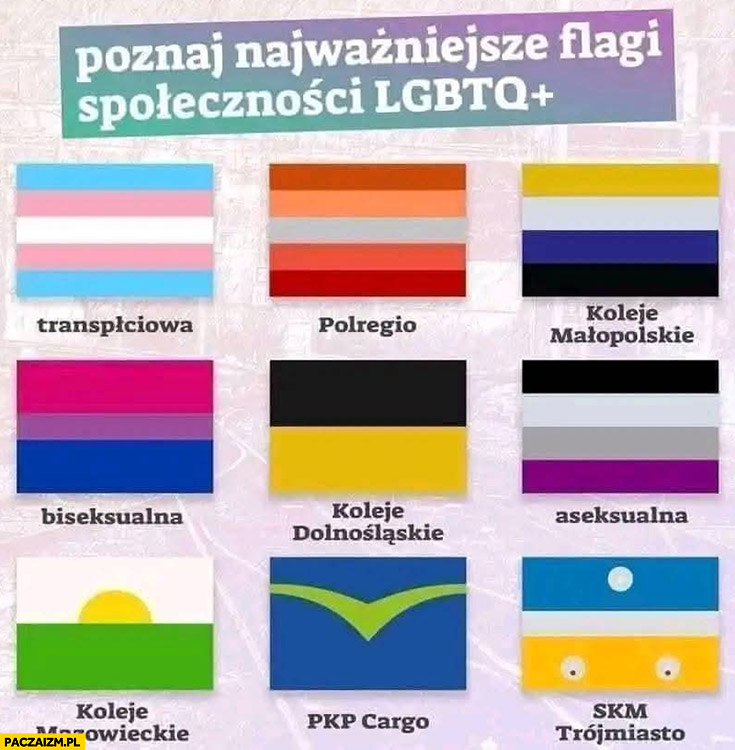 Poznaj najważniejsze flagi społeczności LGBTQ: Polregio, PKP Cargo, koleje mazowieckie małopolskie dolnośląskie, SKM Trójmiasto