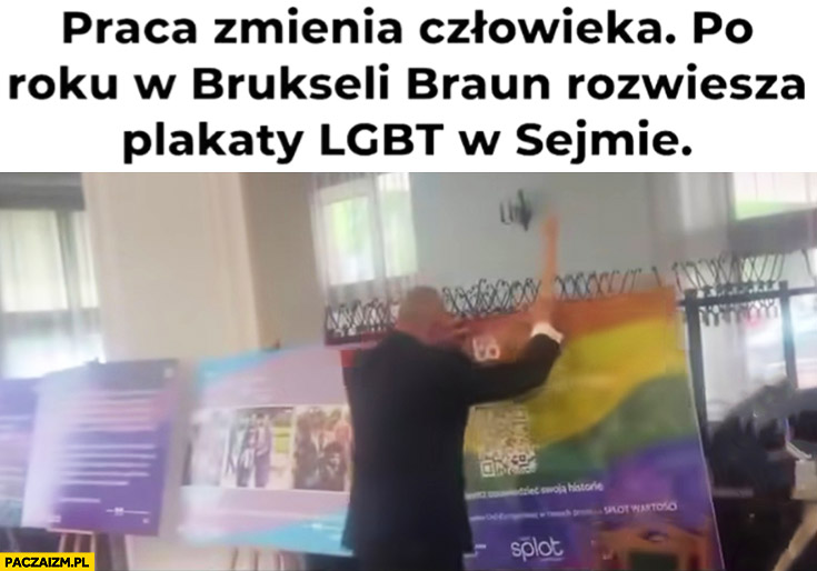 Praca zmienia człowieka po roku w Brukseli Grzegorz Braun rozwiesza plakaty LGBT w sejmie