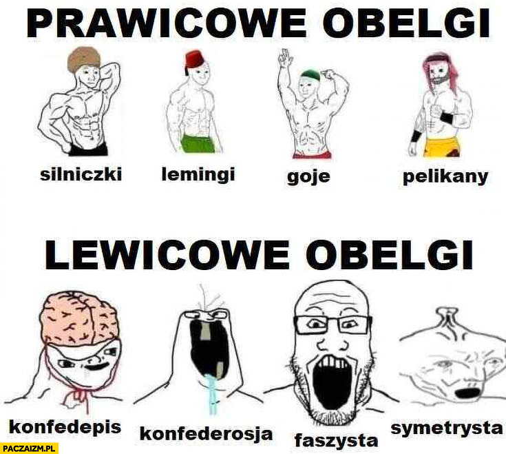 Prawicowe obelgi: silniczki lemingi goje pelikany vs lewicowe obelgi: konfedepis konfederosja faszysta symetrysta