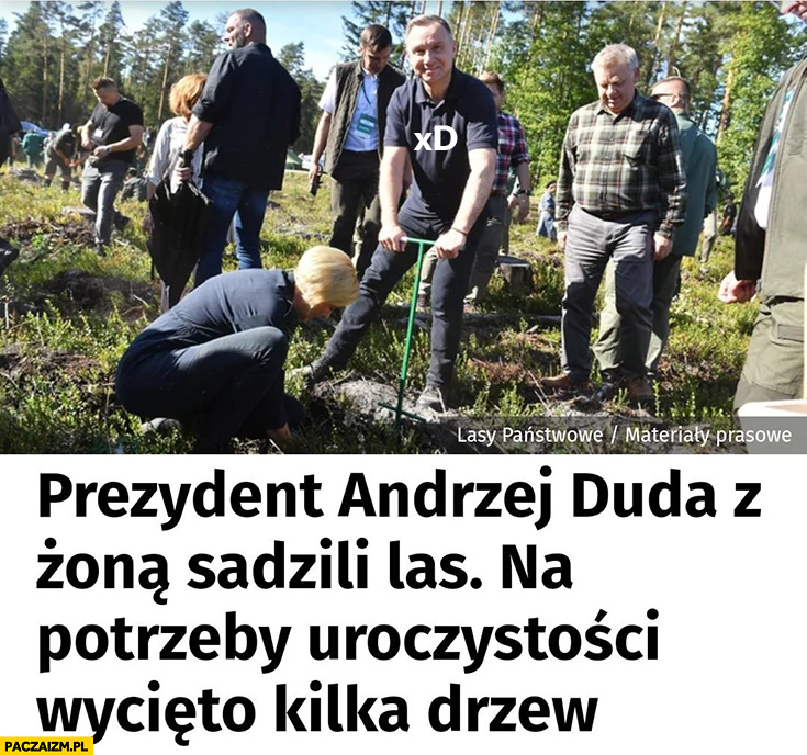 Prezydent Duda z żoną sadzili las na potrzeby uroczystości wycięto kilka drzew