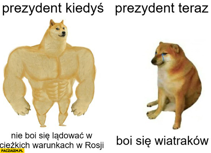 Prezydent kiedyś nie boi się lądować w ciężkich warunkach w rosji vs prezydent teraz boi się wiatraków pies pieseł doge cheems