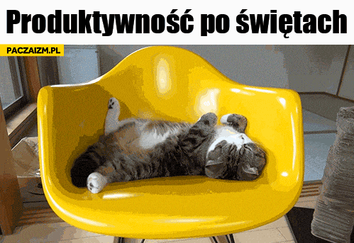 Produktywność po świętach zerowa gruby leniwy kot