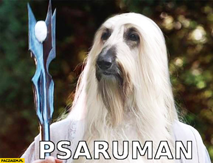Psaruman Saruman