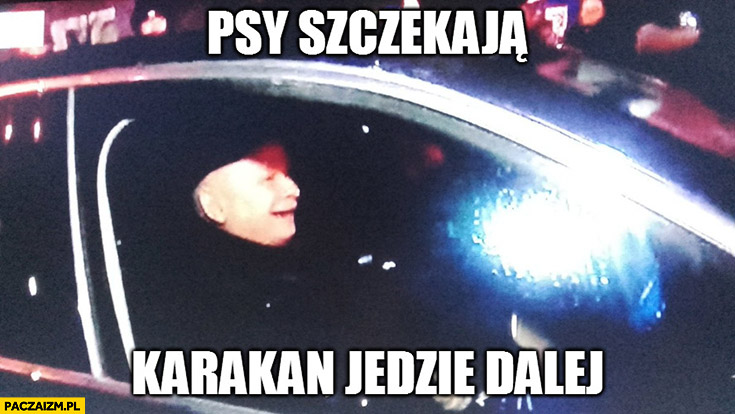 Psy szczekają, karakan jedzie dalej Kaczyński