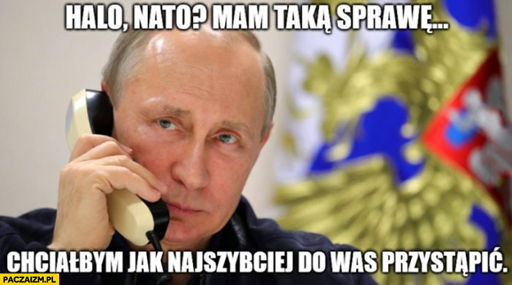 Putin halo NATO mam taka sprawę chciałbym jak najszybciej do was przystąpić