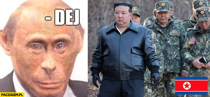 Putin małpa do Kim Jong Una dej