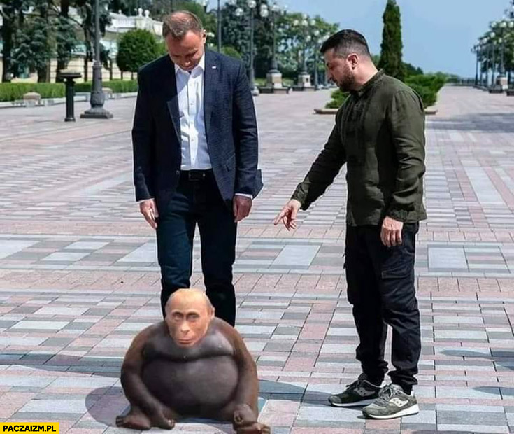 Putin małpa szympans Duda Zełenski pokazuje