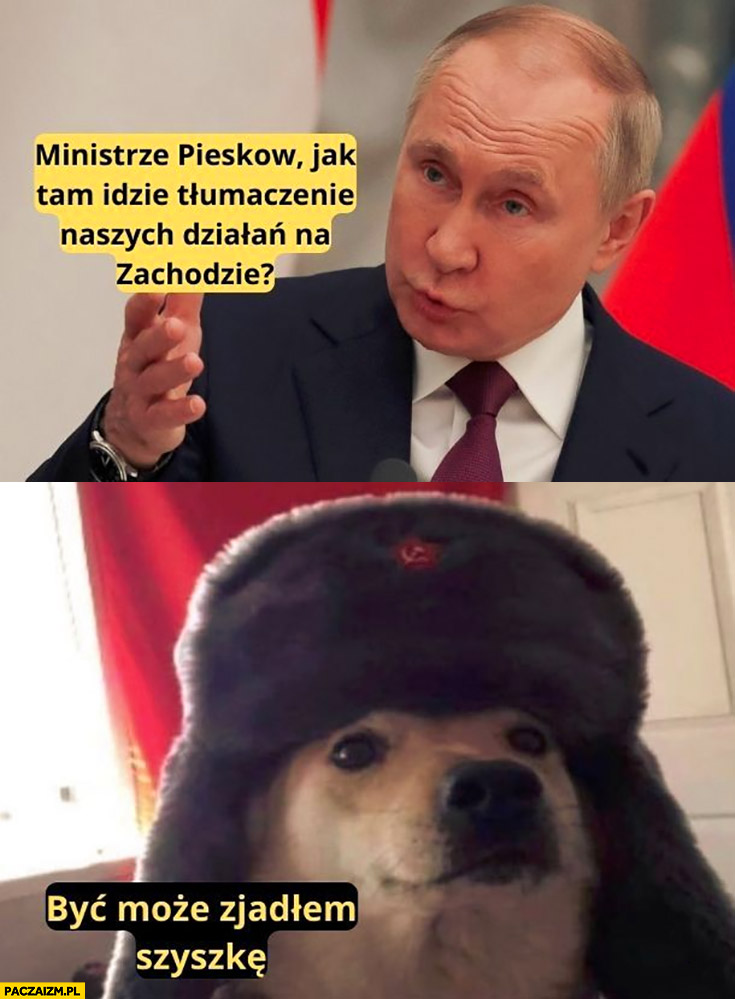 Putin ministrze Pieskow jak tam idzie tłumaczenie naszych działań na zachodzie? Pies: być może zjadłem szyszkę