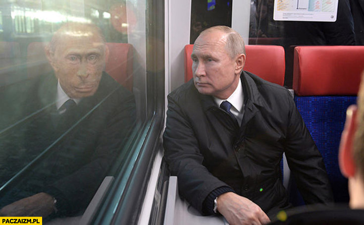 Putin odbicie w lustrze małpa człowiek pierwotny