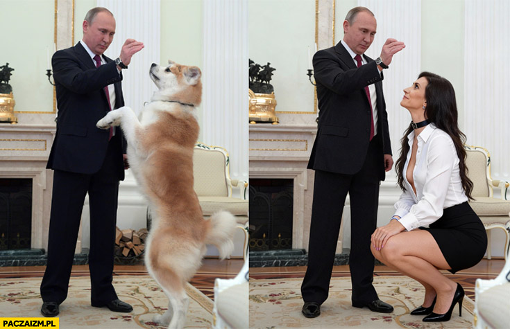 Putin z psem Zajączkowska przeróbka