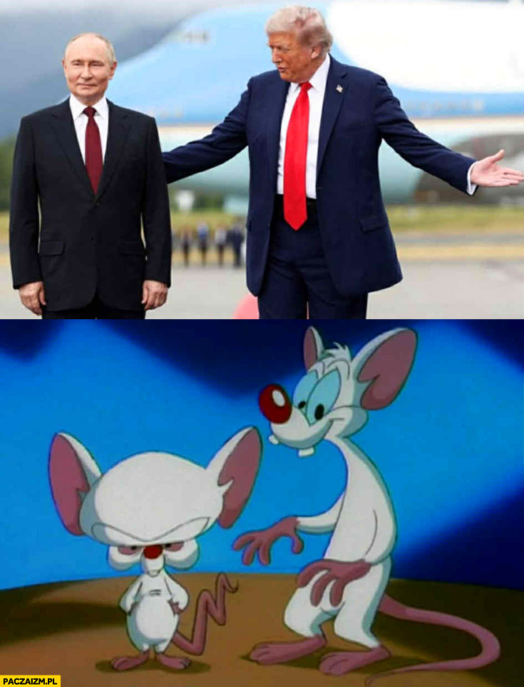 Putin z Trumpem jak Pinky i mózg