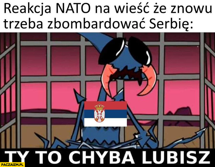 Reakcja NATO na wieść, że znowu trzeba zbombardować Serbię ty to chyba lubisz kapitan bomba