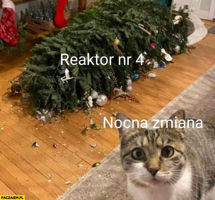 Reaktor nr 4 w Czarnobylu nocna zmiana kot choinka