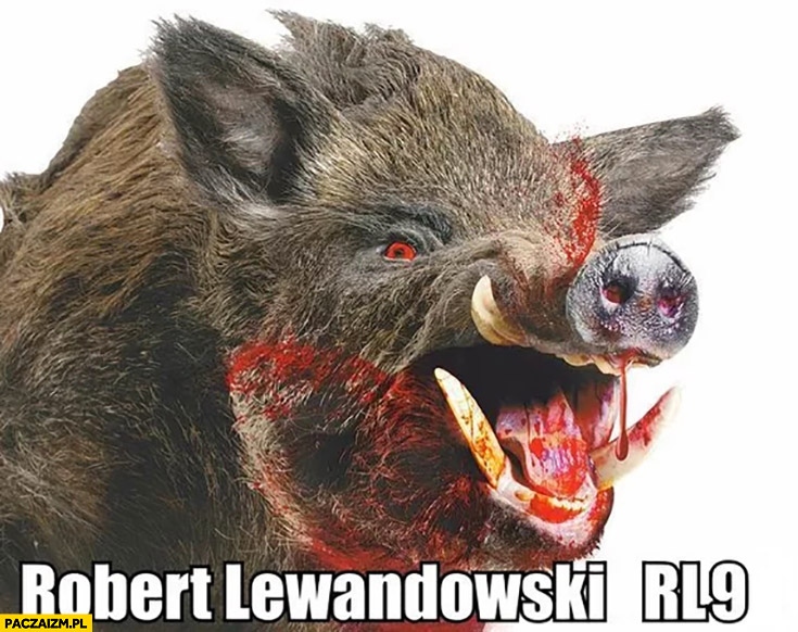 Robert Lewandowski RL9 dzik