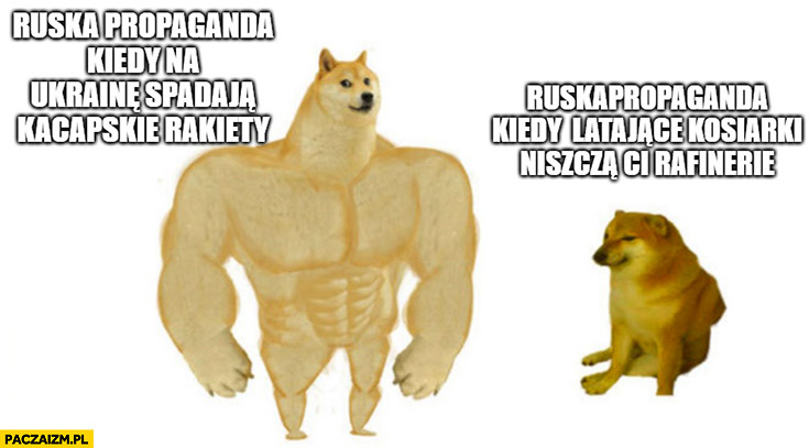 Ruska propaganda kiedy na Ukrainę spadają kacapskie rakiety vs ruska propaganda kiedy latające kosiarki niszczą ci rafinerię pies pieseł doge cheems