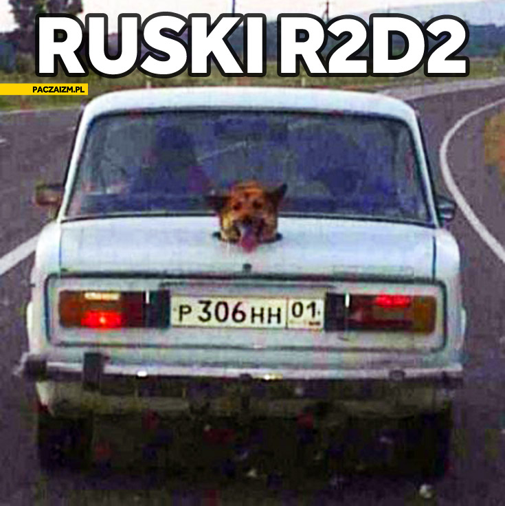 Ruski R2D2 pies