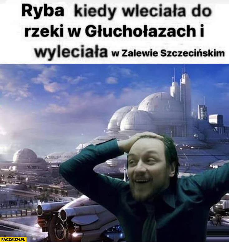 Ryba kiedy wleciała do rzeki w Głuchołazach i wyleciała w Zalewie Szczecińskim