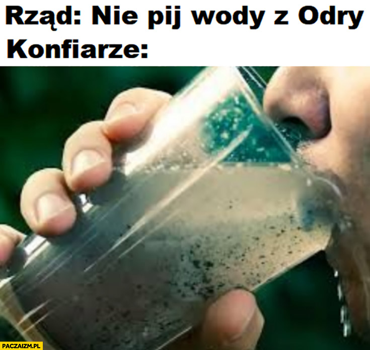 Rząd nie pij wody z Odry vs konfiarze konfederaci piją konfederacja