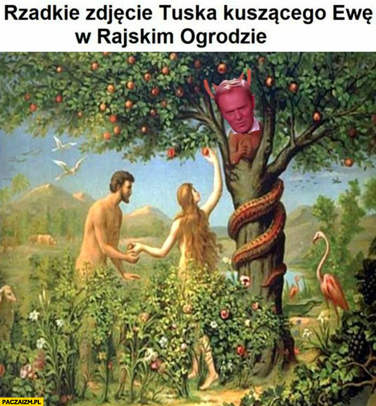 Rzadkie zdjęcie Donalda Tuska koszącego Ewę w rajskim ogrodzie diabeł waż