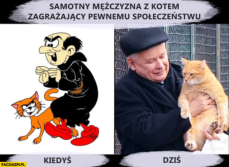 Samotny mężczyzna z kotem zagrażający społeczeństwu kiedyś Gargamel dziś Kaczyński