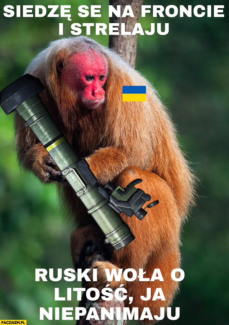 Saszka Ukrainiec małpa siedzę se na froncie i strzelam ruski wola o litość ja niepanimaju