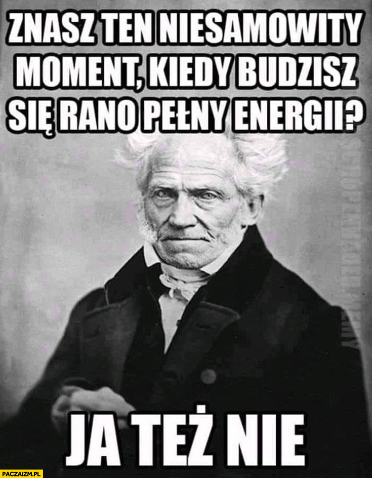 Schopenhauer znasz ten niesamowity moment kiedy budzisz się rano pełny energii? Ja też nie