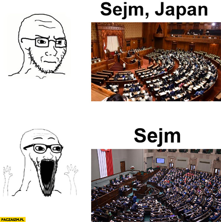 Sejm w Polsce vs sejm, Japan reakcja