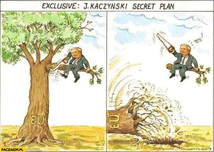 Sekretny plan Kaczyńskiego polexit odcięcie gałęzi drzewa