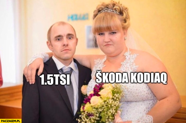 Silnik 1.5 TSI vs Skoda Kodiaq facet ożenił się z gruba laska