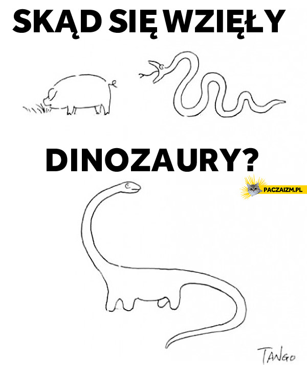Skąd się wzięły dinozaury?