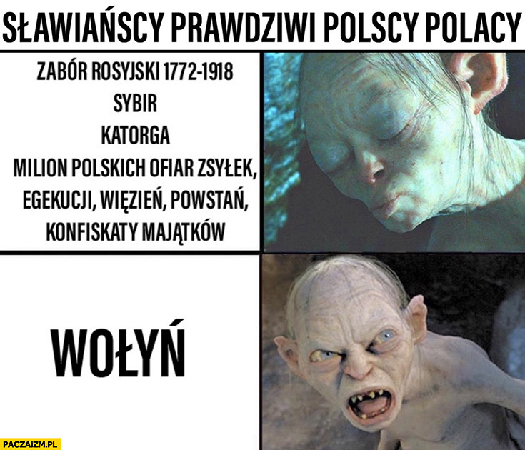 Słowiańscy prawdziwi polscy Polacy zabór rosyjski, sybir, katorga vs Wołyn Gollum