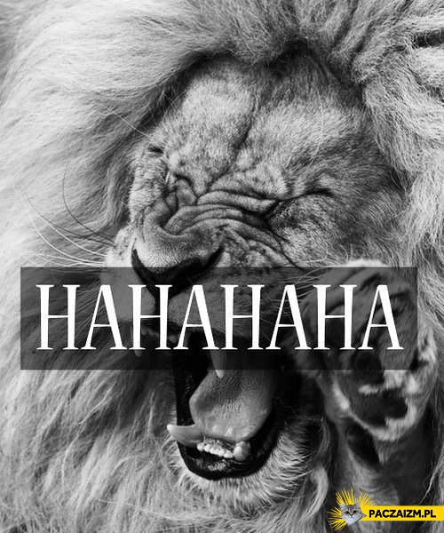 Śmiejący się lew