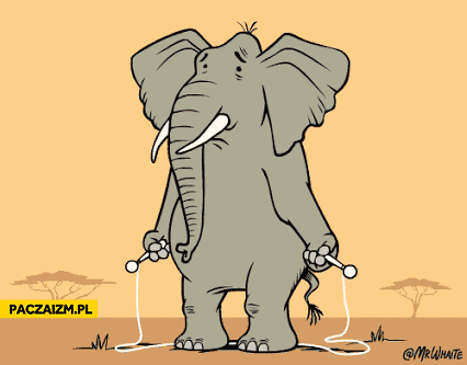 Smutny słoń skakanka