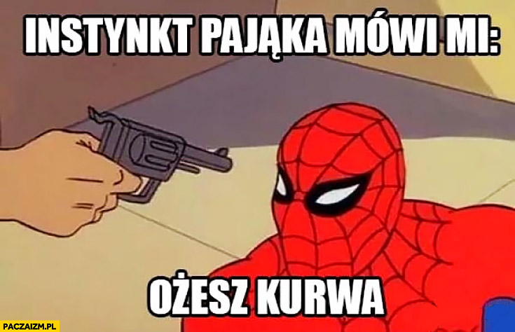 Spiderman na celowniku pistoletu instynkt pająka mówi mi ożesz kurna